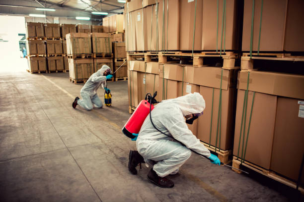Best Bed Bug Extermination  in Nd Lake, WI