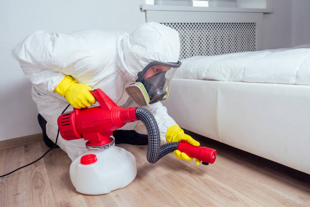 Best Ant Control Services  in Nd Lake, WI