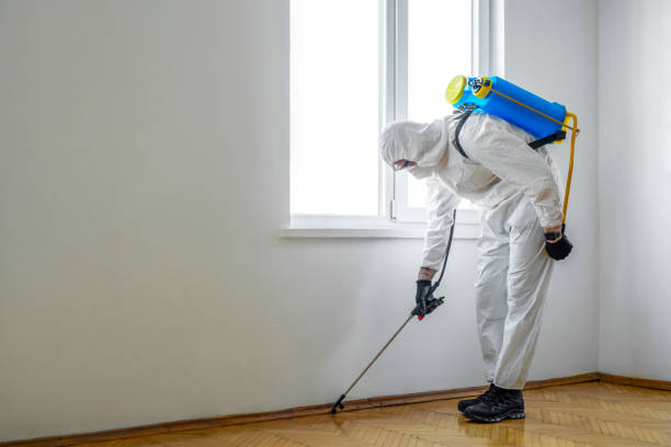 Best Rat Extermination Near Me  in Nd Lake, WI