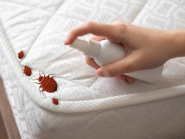 Best Residential Pest Control  in Nd Lake, WI