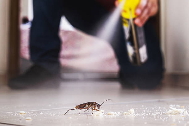 Reliable Wind Lake, WI Pest Control Solutions