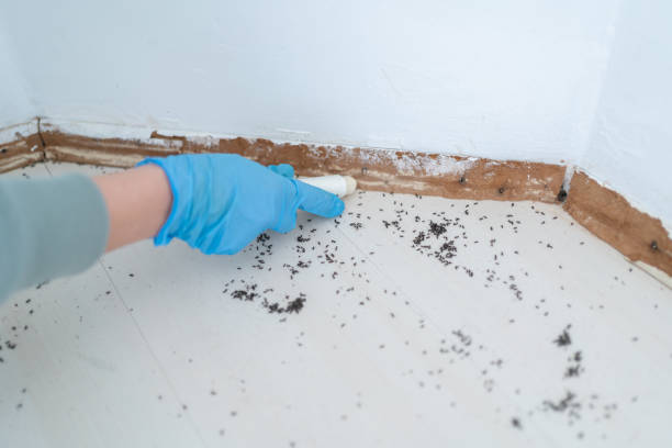 Best Residential Pest Control  in Nd Lake, WI
