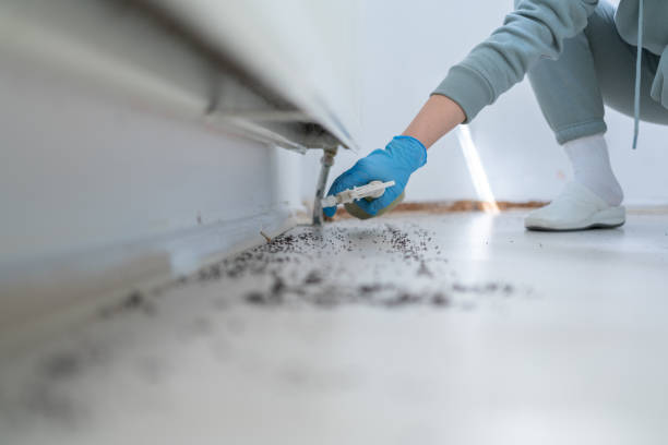 Bird Control in Wind Lake, WI