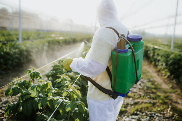 Trusted Wind Lake, WI Pest Control Experts